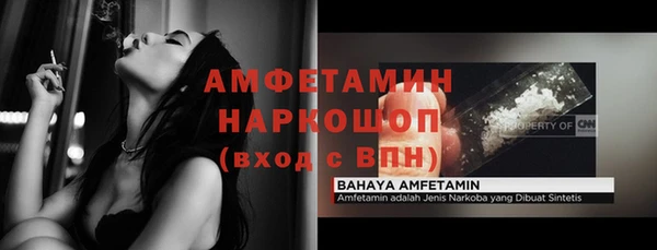 молекула духа Кулебаки